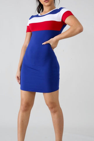 Basic Multi Color Jersey Mini Dress