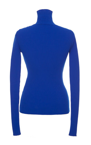 Royal Knitted Turtleneck